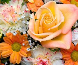 Natur'elles Fleurs image 1