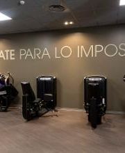 Gimnasio VivaGym Nuredduna imagen 14