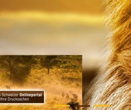 Lionprint.ch Bild 2