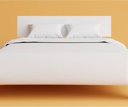Rectangle-16-15.jpg