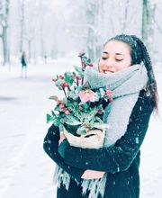 Fleuriot Manor Chavannes Bild 12