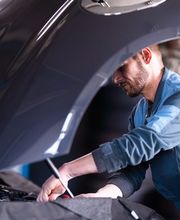 Stephan Dittberner GmbH Bild 3