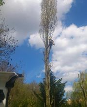 Entreprise Lecoq image 17