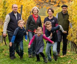 Weingut Scherr Bild 1