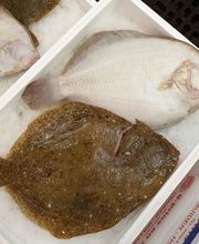 Gilles et Compagnie image 4