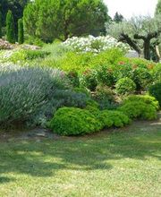 Mestre image 10