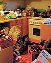 Fürst Schädlingsbekämpfung Bild 5