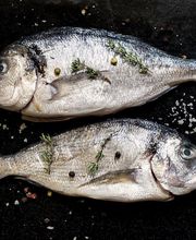 TRANSGOURMET image 3