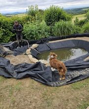 WhatsApp Bild 2025-01-20 um 07.05.13_90f8b764.jpg