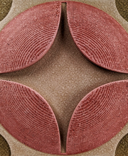 RustikTales imagen 4