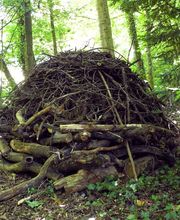 Les Artisans de L'Arbre Sarl Bild 7