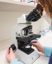 Cainhoy Veterinary Hospital image 2