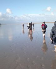 Etoile De La Mer image 3