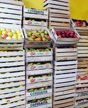 Gallery Professionale