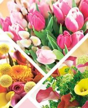 Jolivet Fleurs image 1