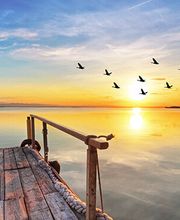 Praxis für Naturheilkunde und Hypnose in München Irmingard Scherer Bild 5