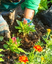 AlltagsHilfe Bild 20