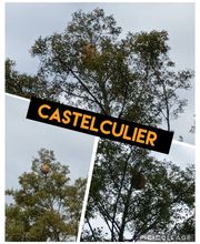 CLG Nuisibles image 12