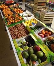 Trégor Primeurs image 5