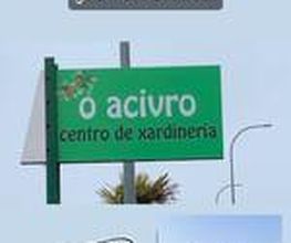 vivero1.jpg