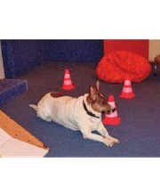Ergotherapie Kley Viola Bild 3