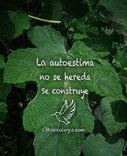 225071554-2-tSv9AdYyDJ1783219687779.png