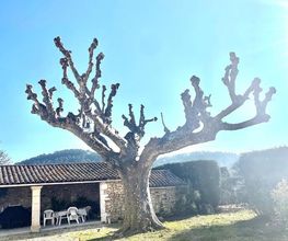 LB Paysage image 11