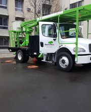 SavATree - Tree Service & Lawn Care image 6