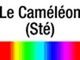 STE Le Caméléon