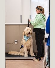 Caring Hands Animal Hospital - Suffolk image 7