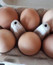 La Ferme du Morillon LFDM image 4