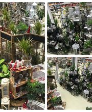 LANDI OBFELDEN, Gen. Bild 5