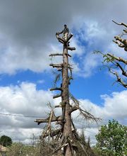 Bouche Nicolas image 8