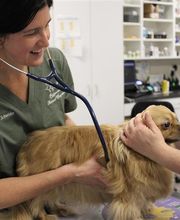 Ridgeview Animal Hospital image 13