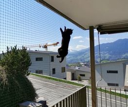 Stöckli Katzenschutz GmbH Bild 11