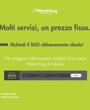 WashDog Bellinzona Bild 11