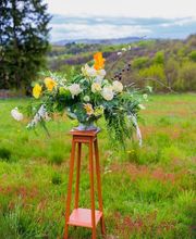 Maison Montagnac image 14