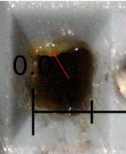 Sachverständigenbüro Stephan Kober Bild 9