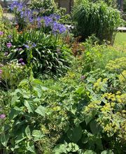 Tregor Coup De Pouce image 4