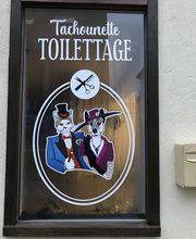 Tachounette Toilettage image 2