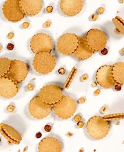 Marc Verdant image 12