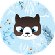 Chats Pitres