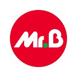 Mr.Bricolage Epinal