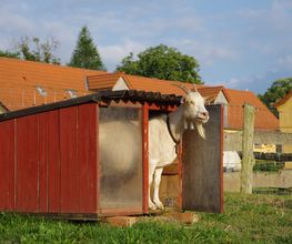 Naturdorf Eickhof Bild 7
