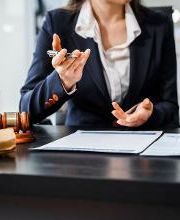 Constitución 7 imagen 6