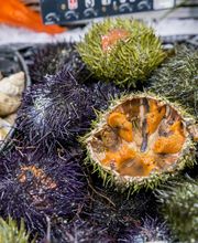 Au Plaisir Iode image 15