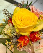 Fleur Evasion Sàrl Bild 6