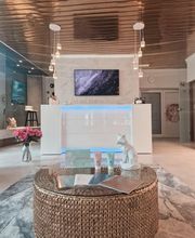 Golden Fox Institut Bild 5