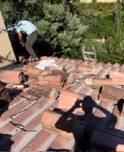 Lenoir Steeve image 8