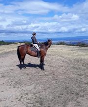 Ecole D'Equitation De Chazeron image 15